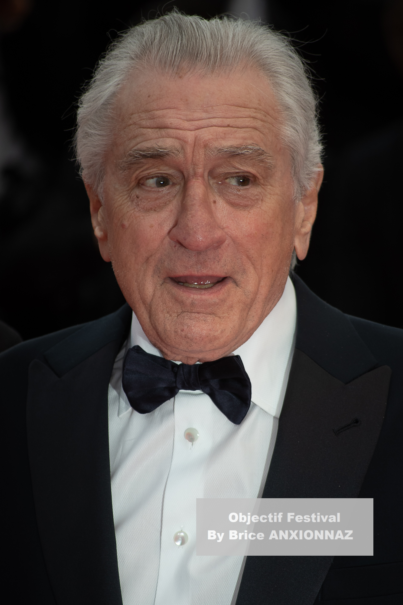 Robert De Niro / 78th Cannes International Film Festival / Objectif Festival by Brice ANXIONNAZ